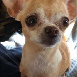 Meet your Posher, Cassie